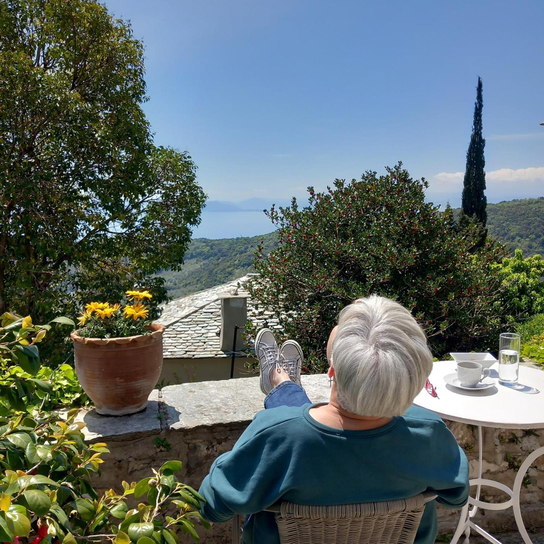 Milies Historic Chalet Pelion Villa Miléai Екстериор снимка