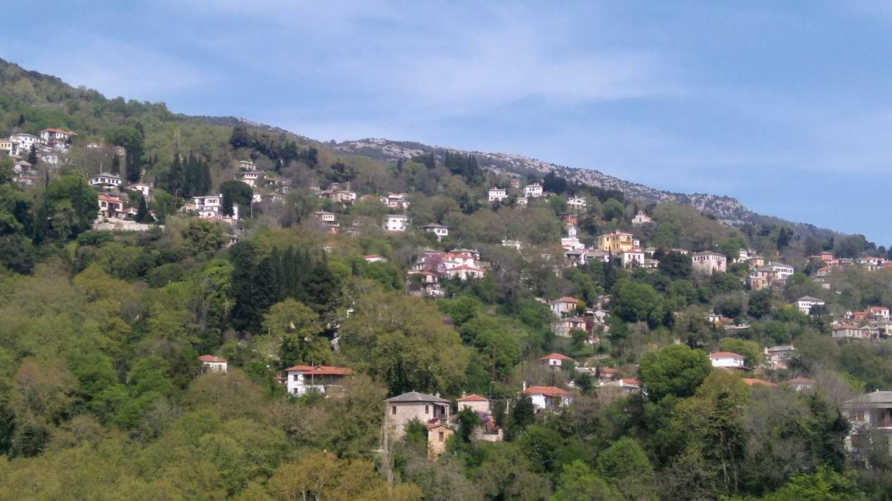 Milies Historic Chalet Pelion Villa Miléai Екстериор снимка